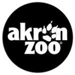 azoo logo 2